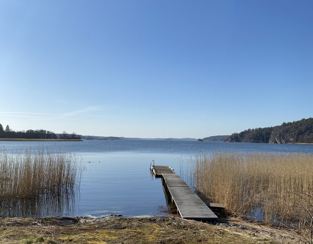 Sedan bilden togs är vassen är borta