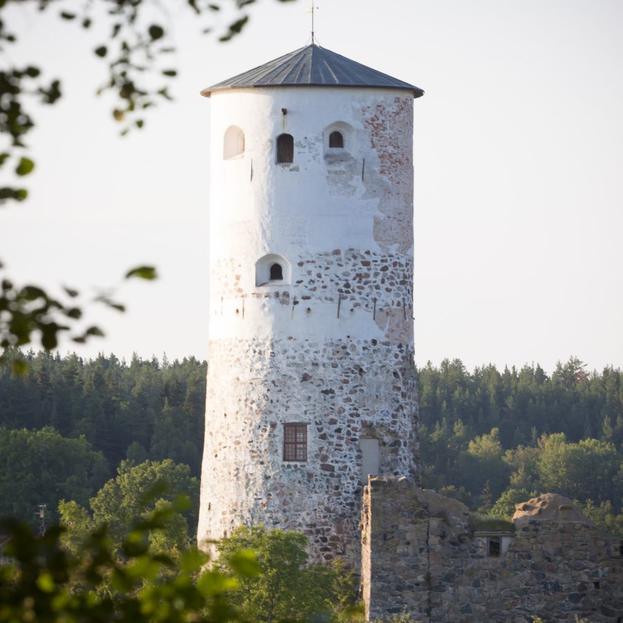 Stegeborg Slottsruin
